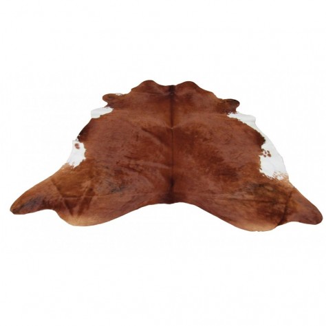 CAVALLO NATURALE                                       001